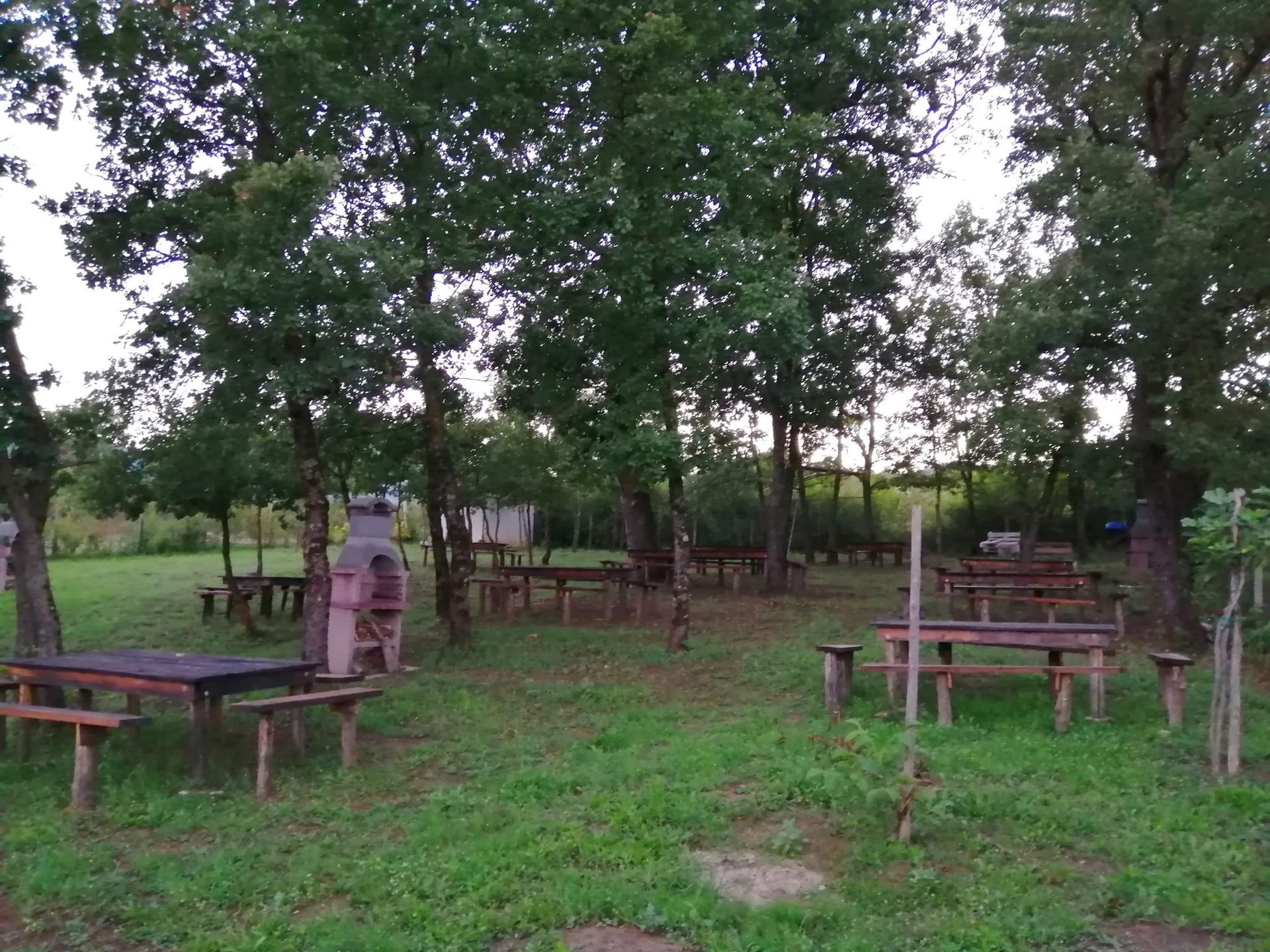 picnic9