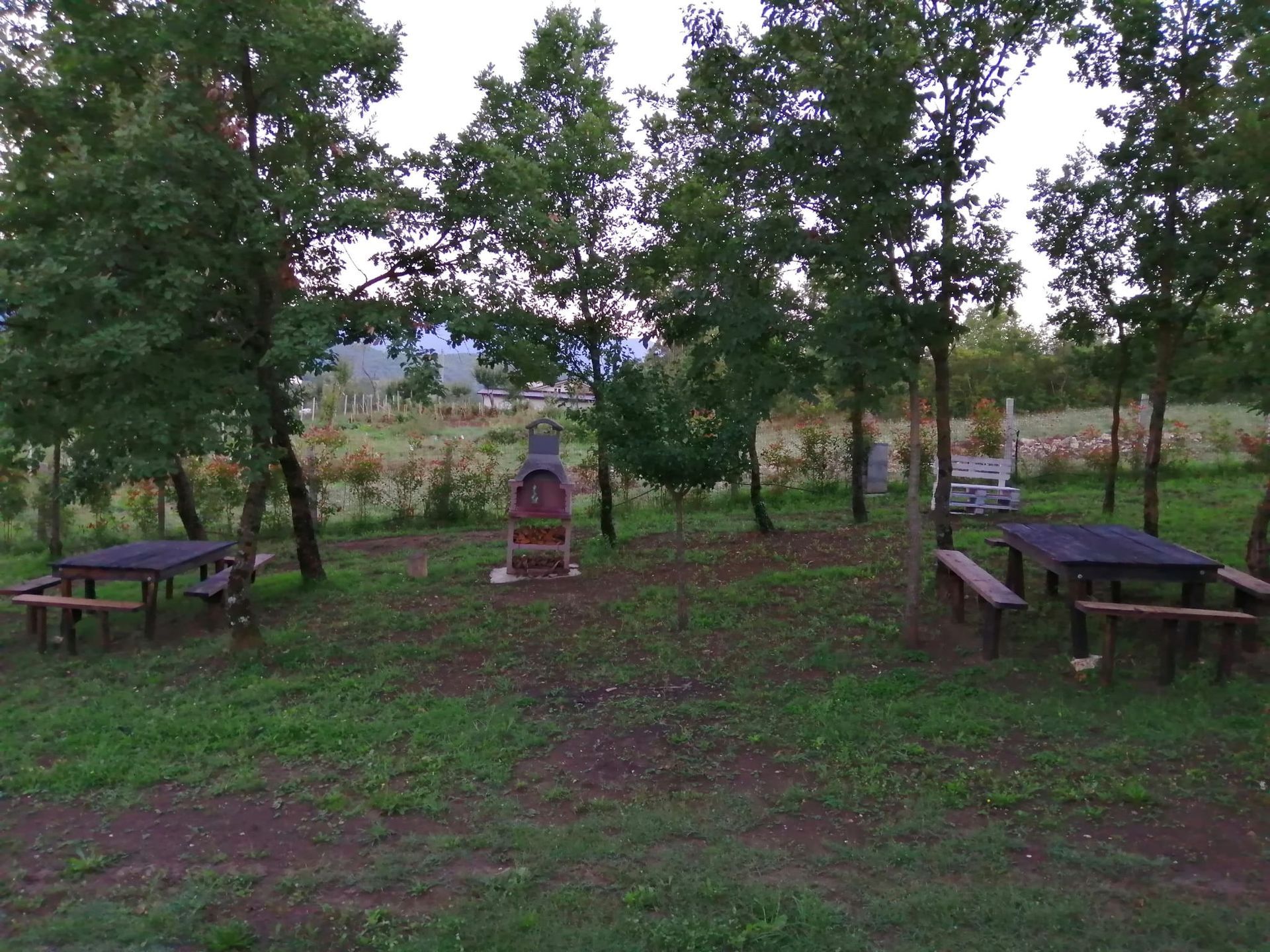 picnic10