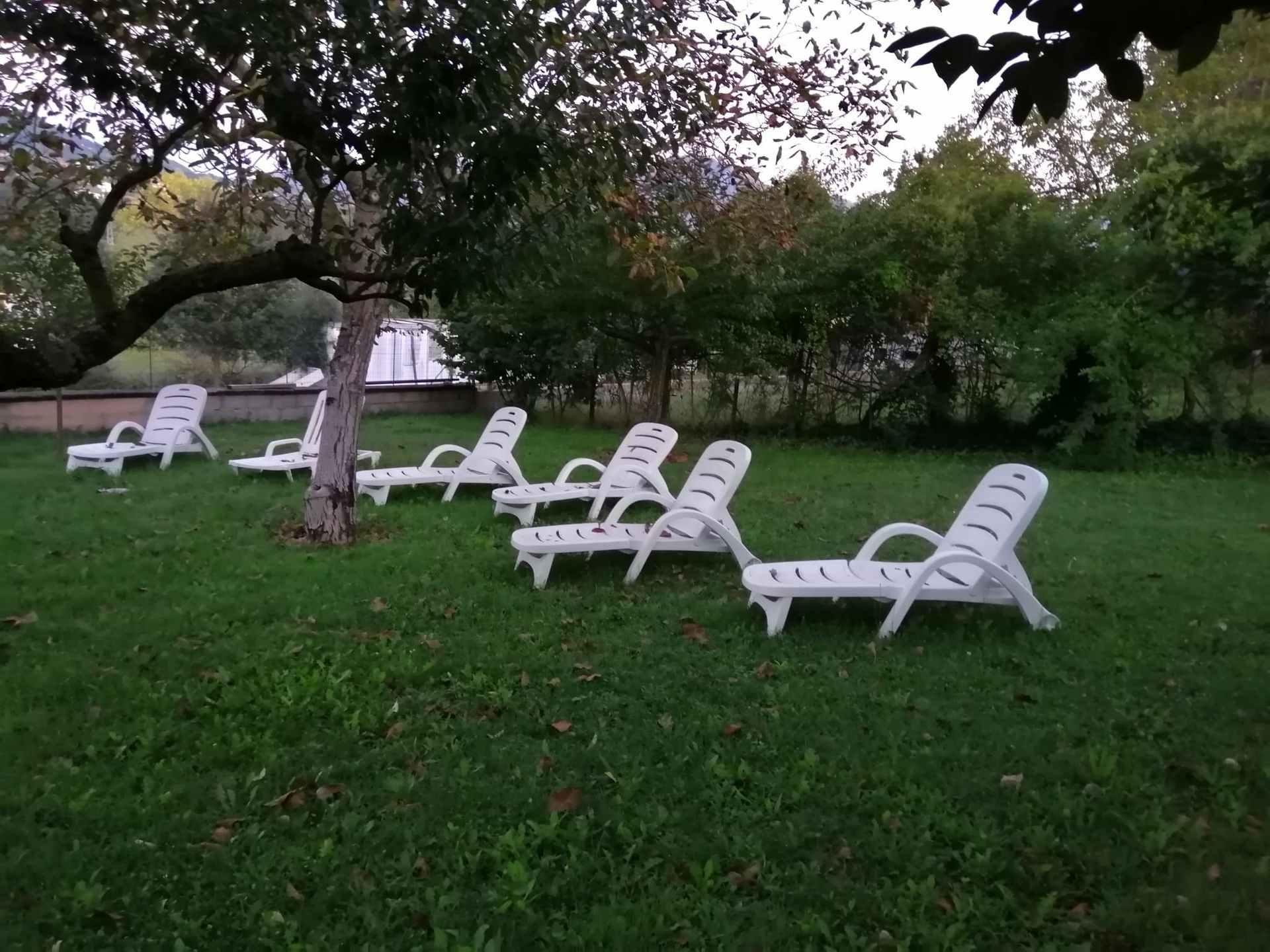 picnic8