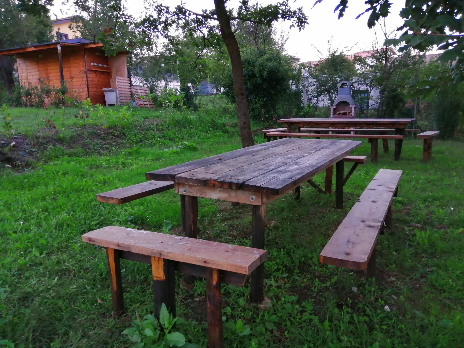 picnic11