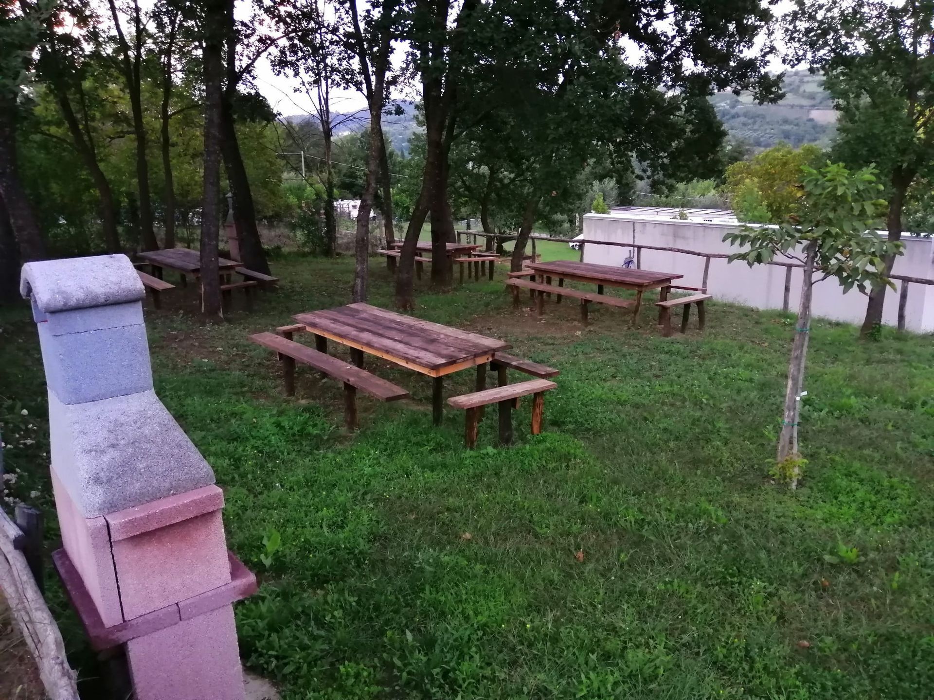 picnic6