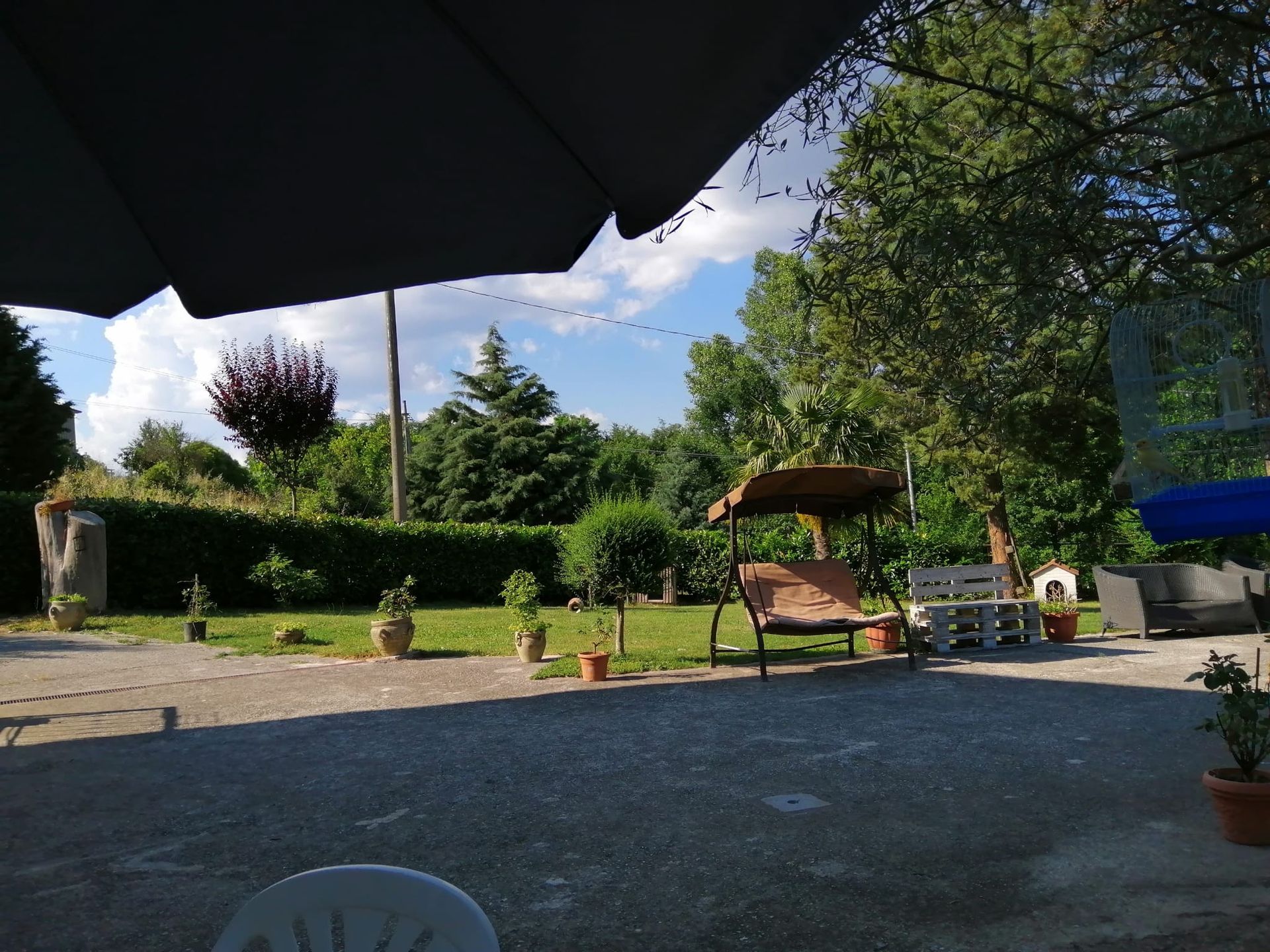 picnic15