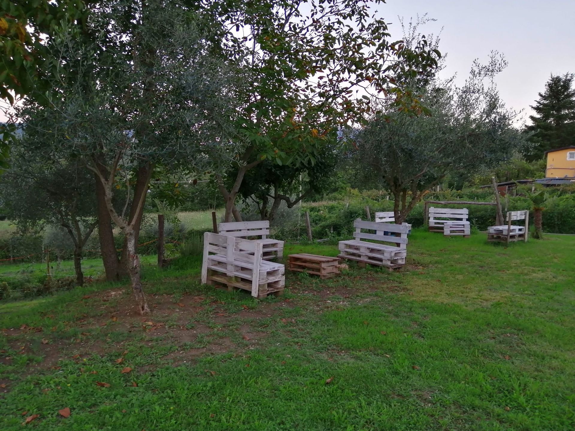 picnic14