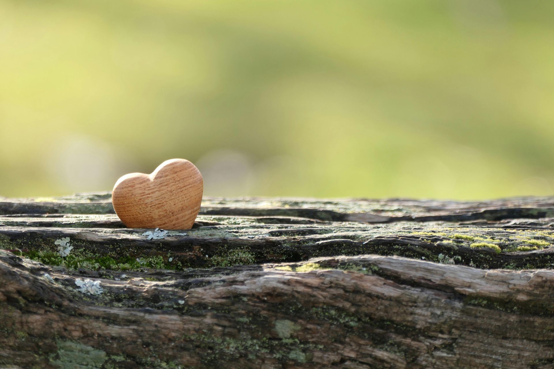 Small woven heart on a weathered log with a soft green background