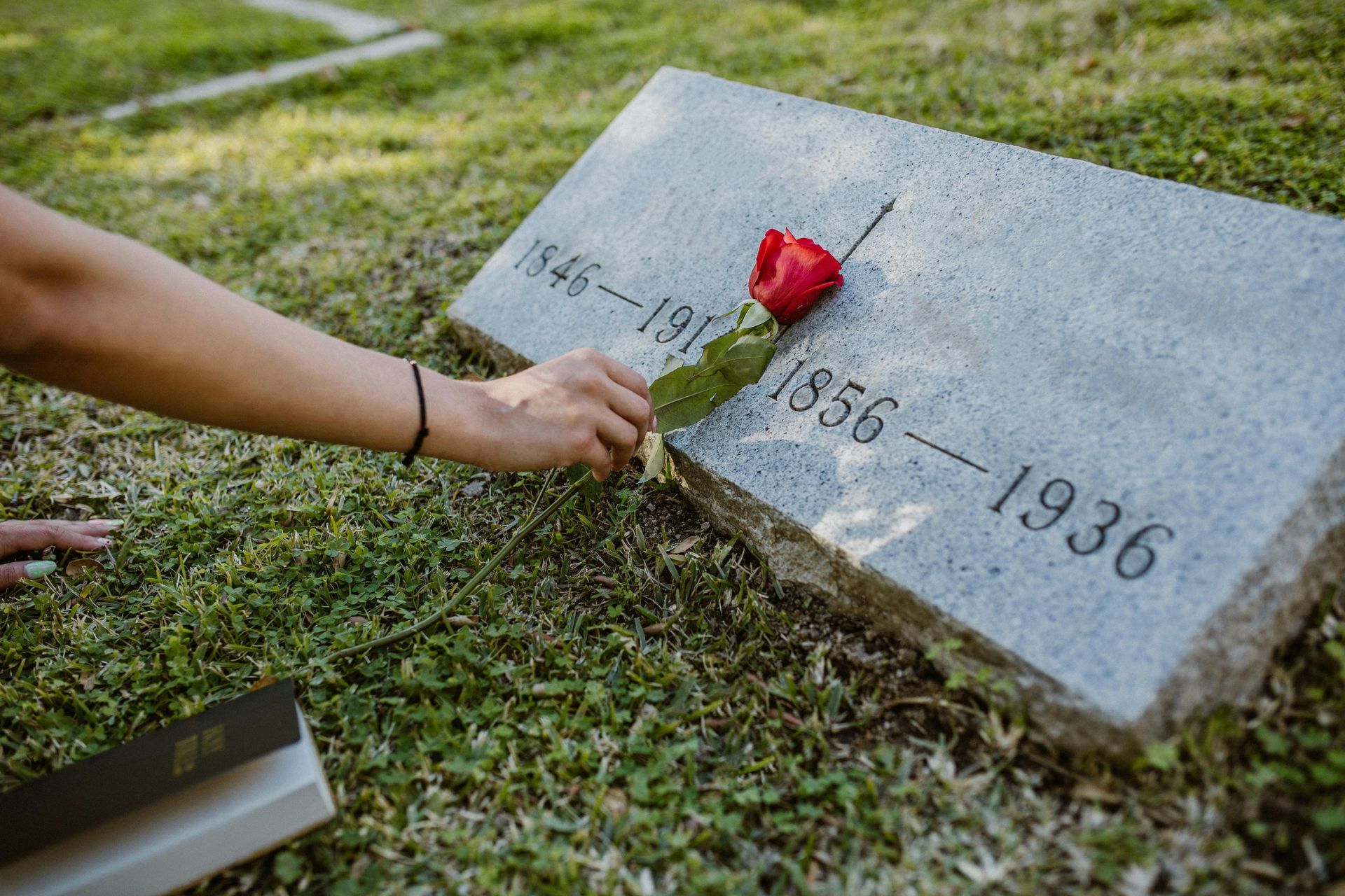 Hand placing a red rose on a slanted gravestone engraved “1886–1936”