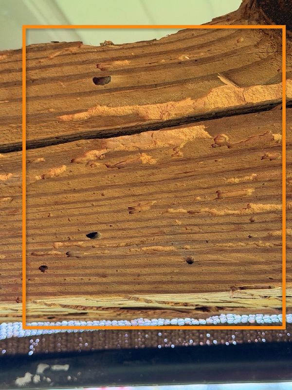 Close-up of weathered wood grain with a bright orange border and blue edge at the bottom.