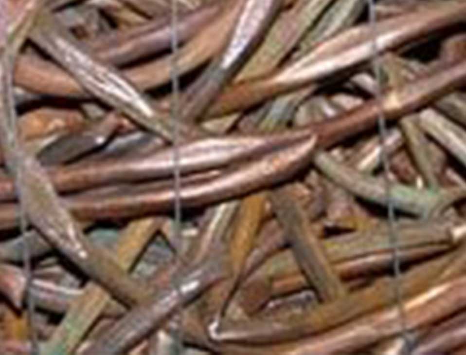 Copper
