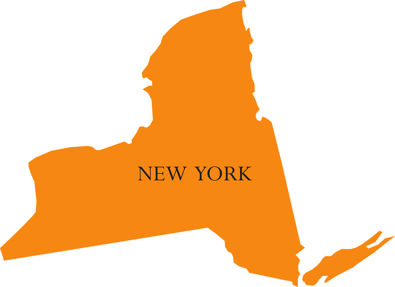 A map of the state of new york on a white background