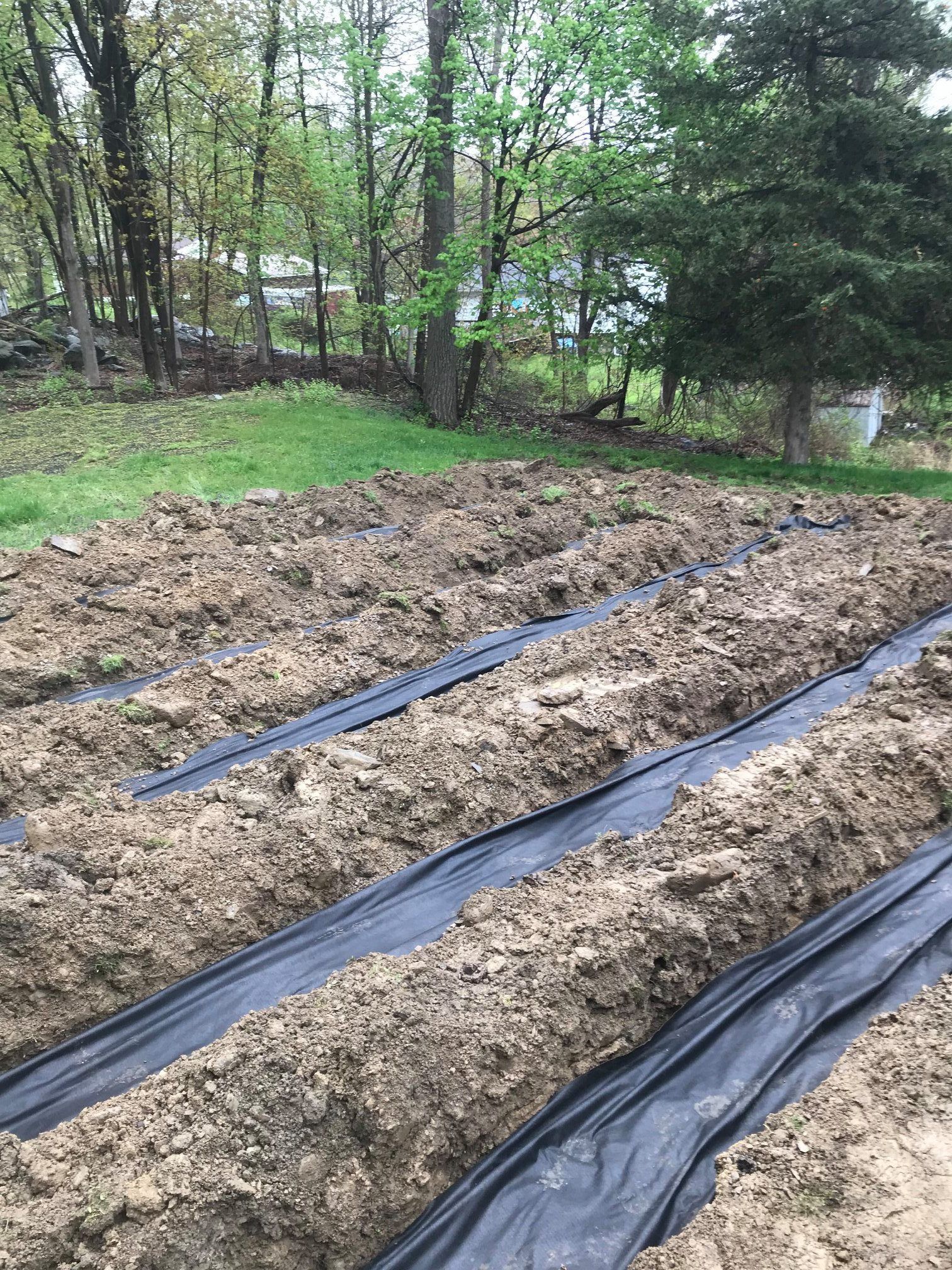 A row of rows of dirt in a field with trees in the background.