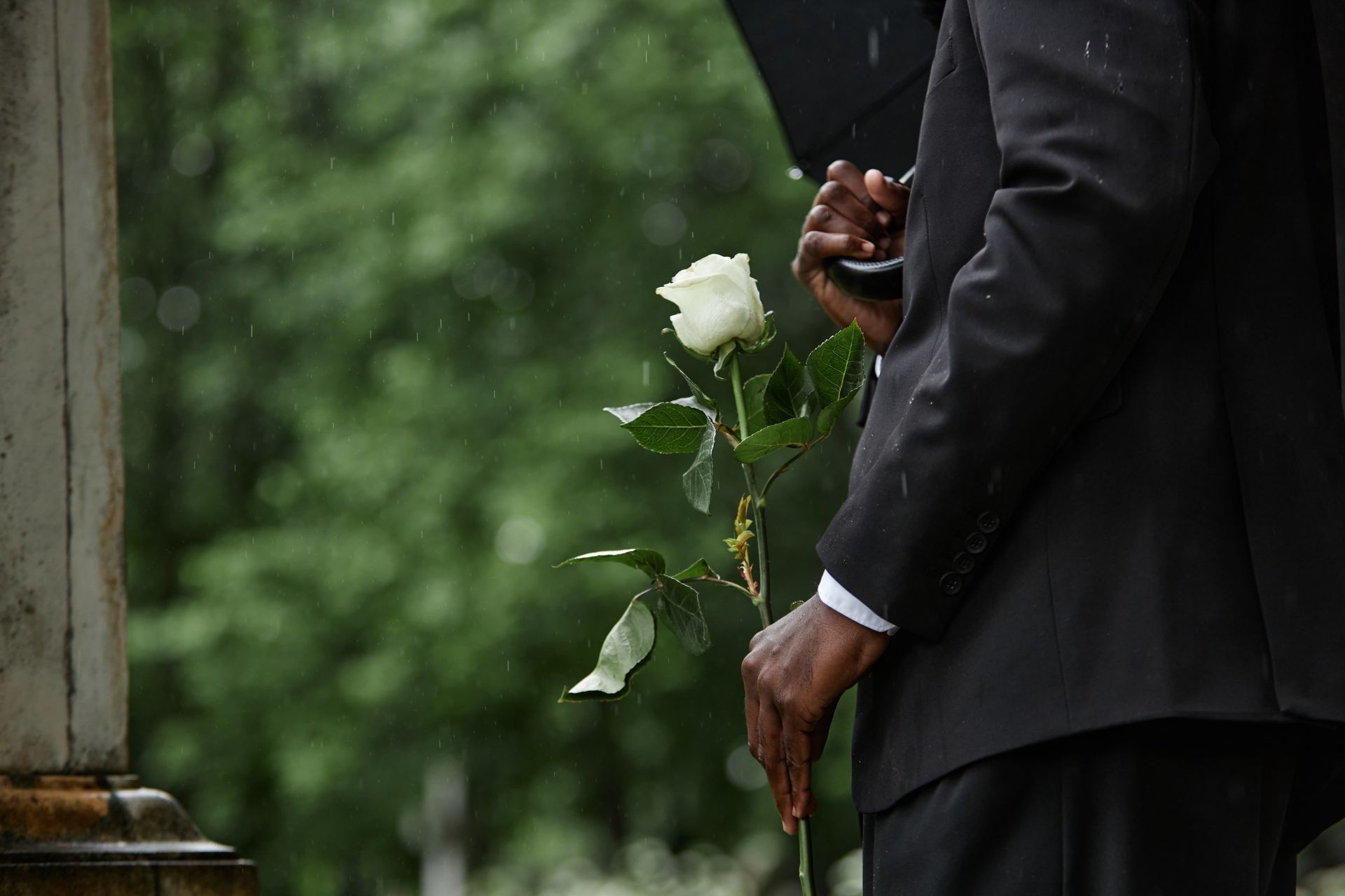 A person in a black suit holds a white rose beside a grave in a green outdoor setting.