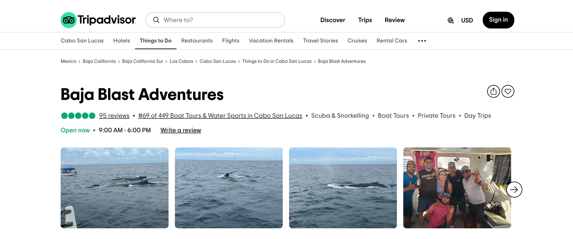 A screenshot of the baja blast adventure website.