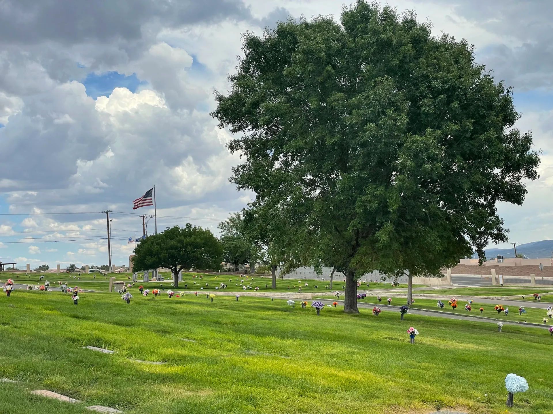 Green lawn with graves, mature trees, and an American flag under a cloudy sky.