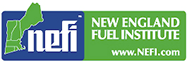 Nefi Logo Nefi Logo