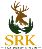 SRK Taxidermy Studio logo with brown deer silhouette, green trees, and gold text