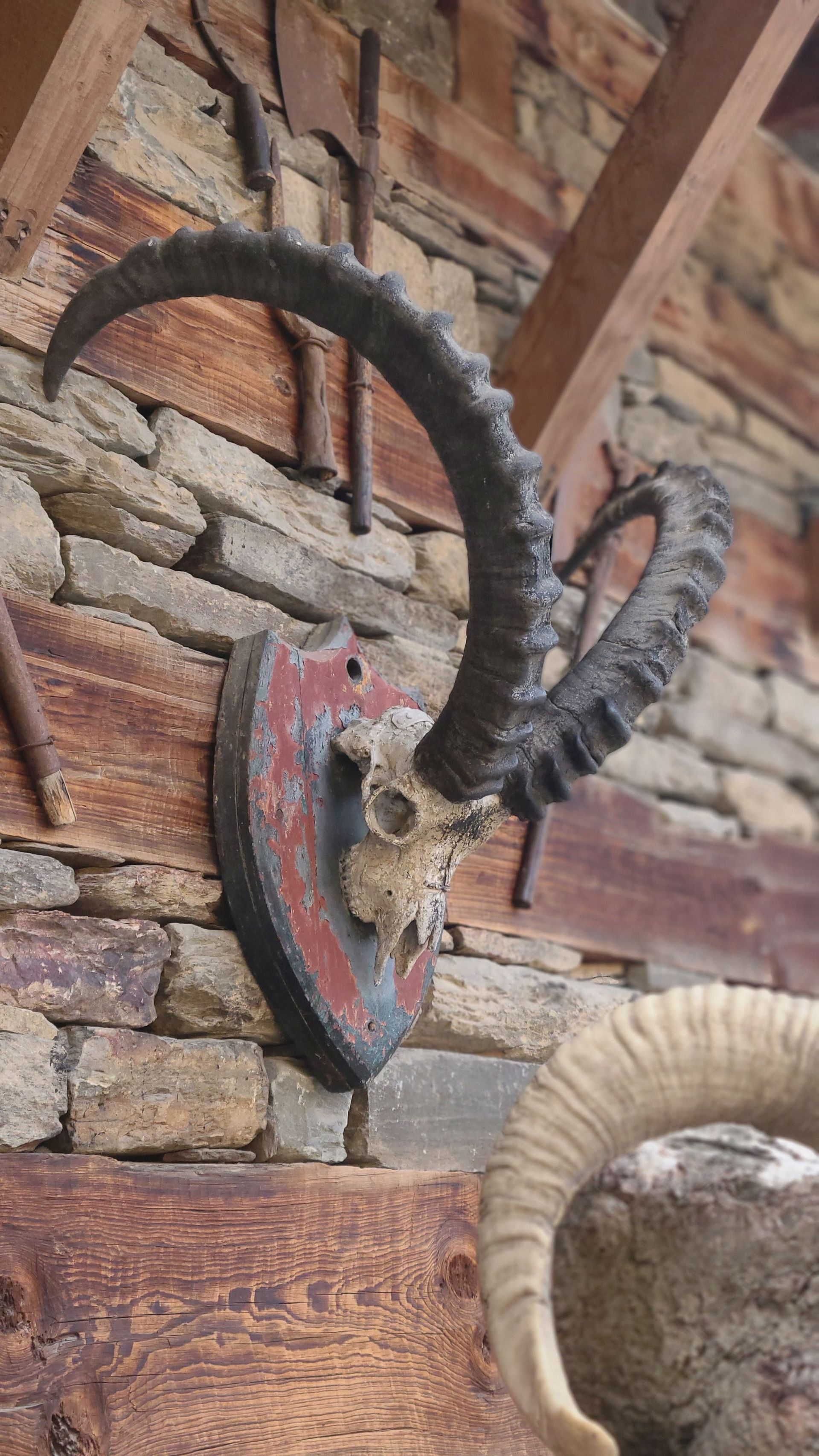 Mounted horned animal skull with dark curved horns on a rustic brick wall.