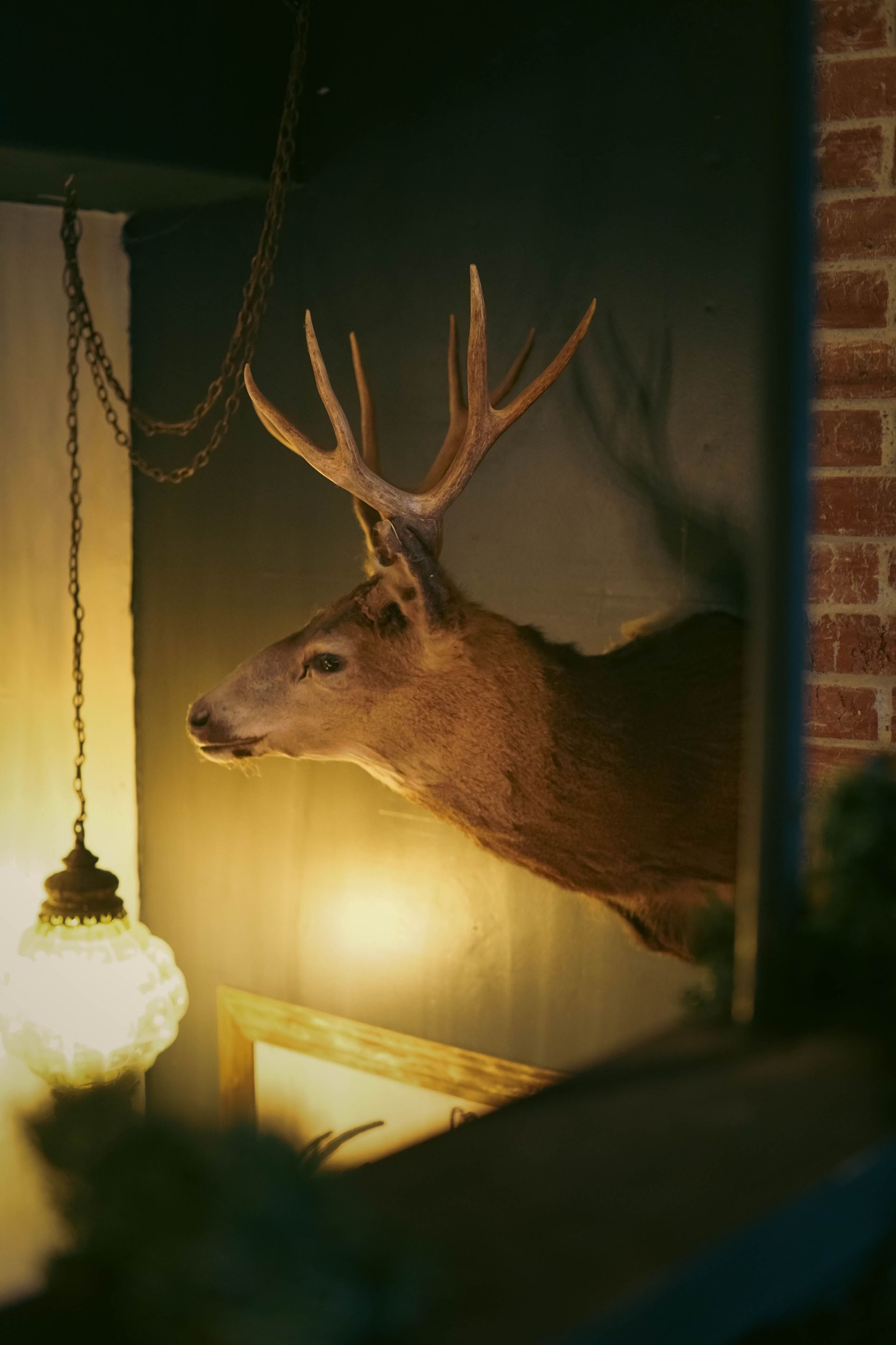 Mounted deer head with antlers on a dimly lit wall beside a glowing lamp and brick pillar