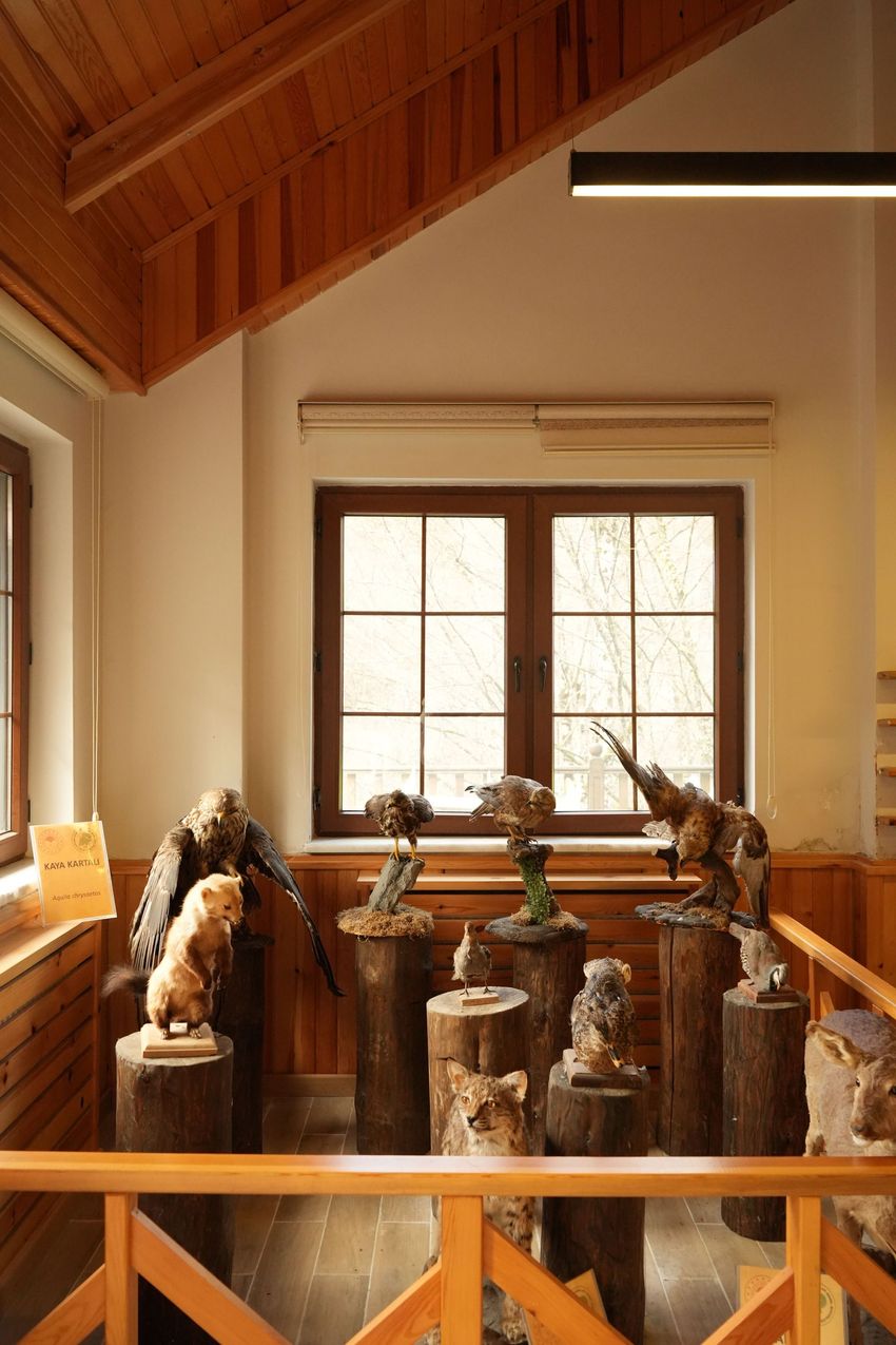 Wooden sculptures displayed in a sunlit gallery room with a vaulted ceiling and window.