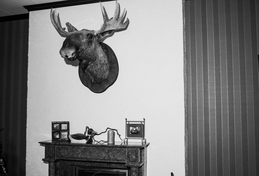 Black-and-white room with a mounted moose head above a mantel and striped wall paneling.