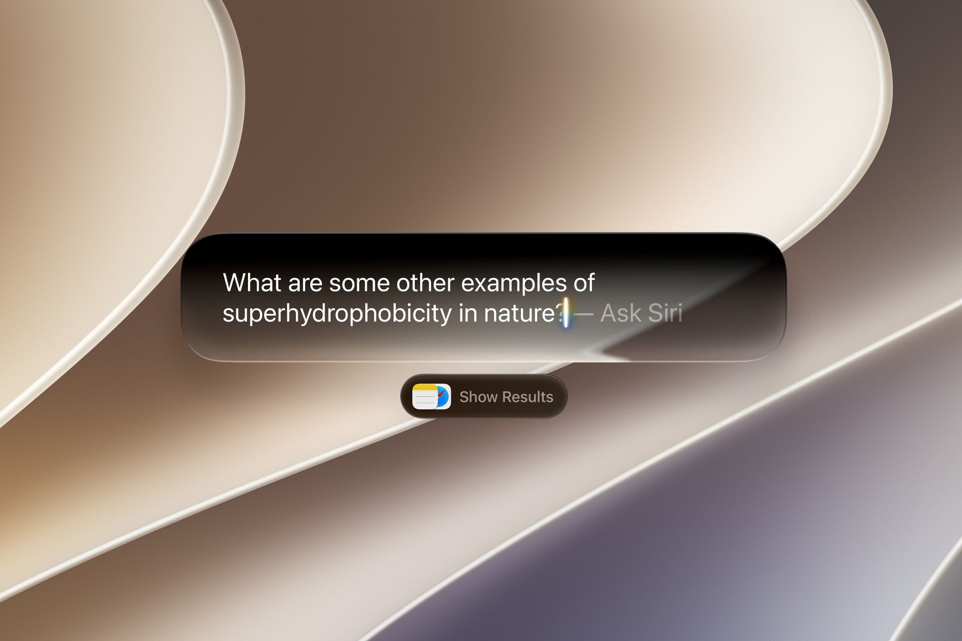 A user asks Siri 
