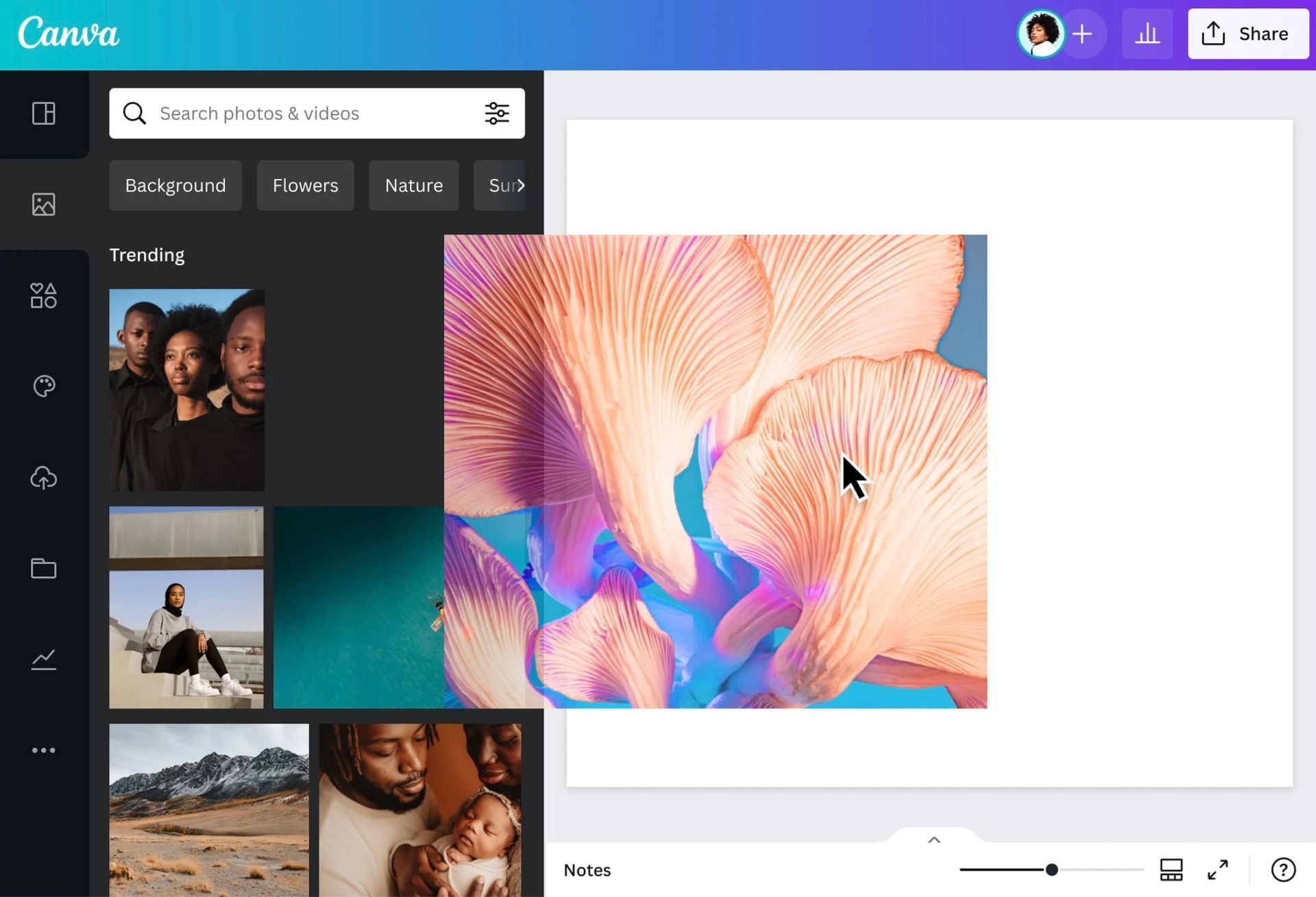 Canva screenshot