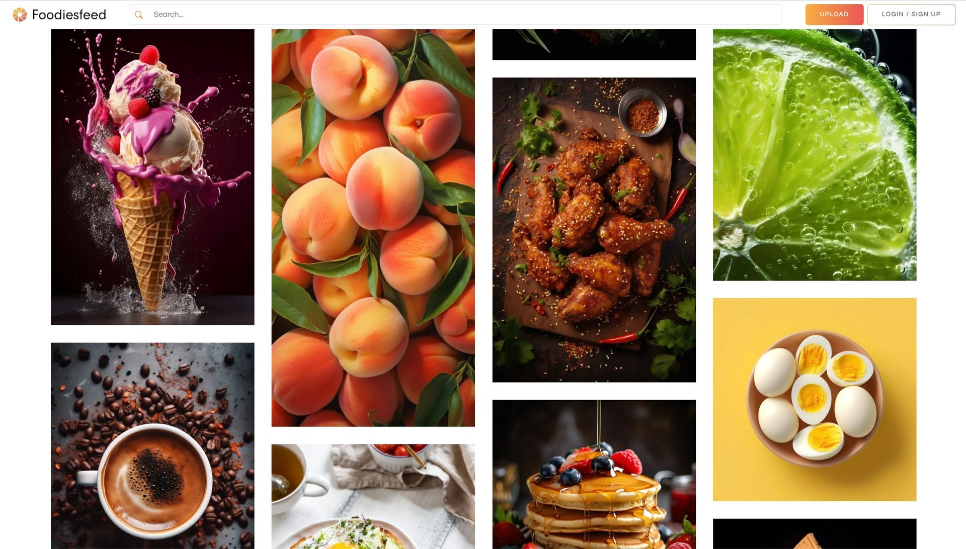 Foodiesfeed screenshot