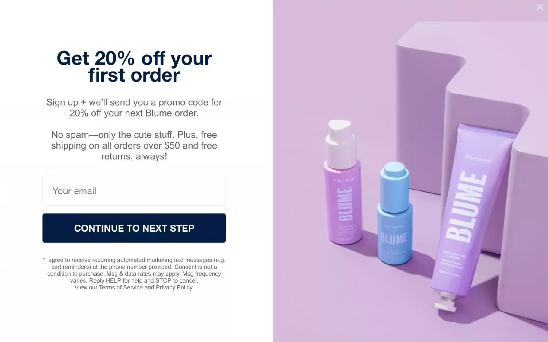 A screenshot of a discount pop up
