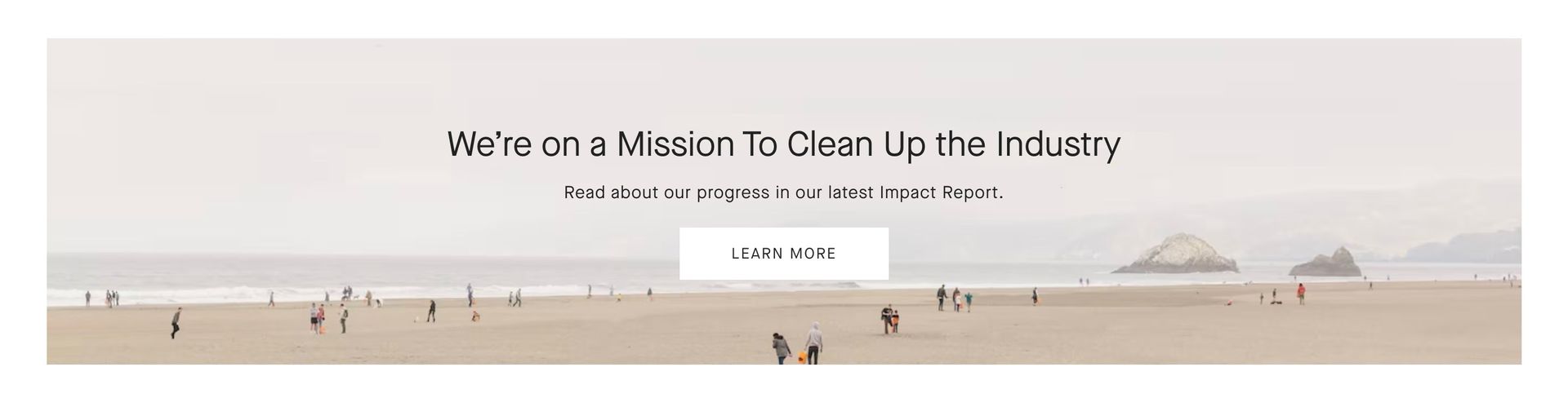 A blurred image of people walking on a beach with the words ``We're on a mission to grow the industry.''