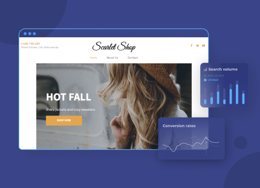 Website editor showing graphs for an ecommerce website performance