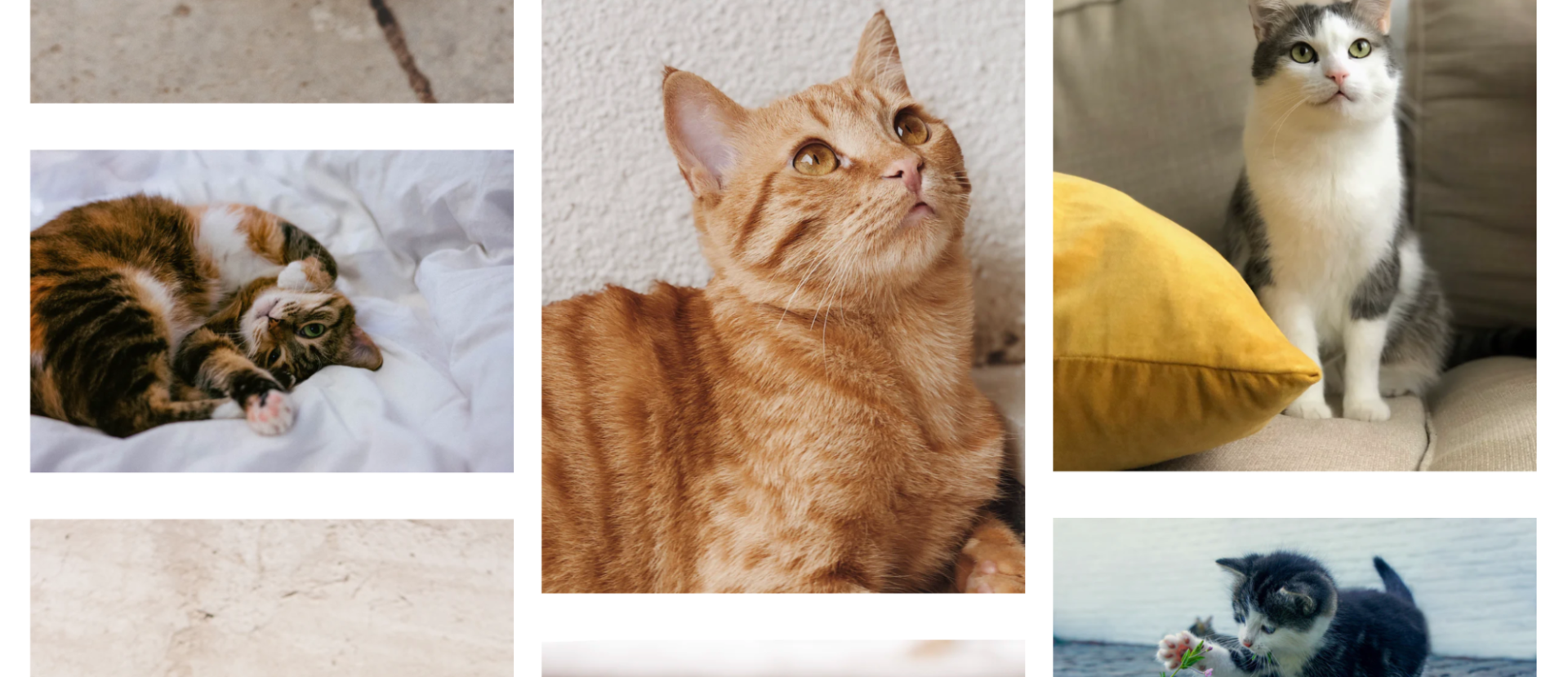 flexbox example of a masonry photo gallery layout