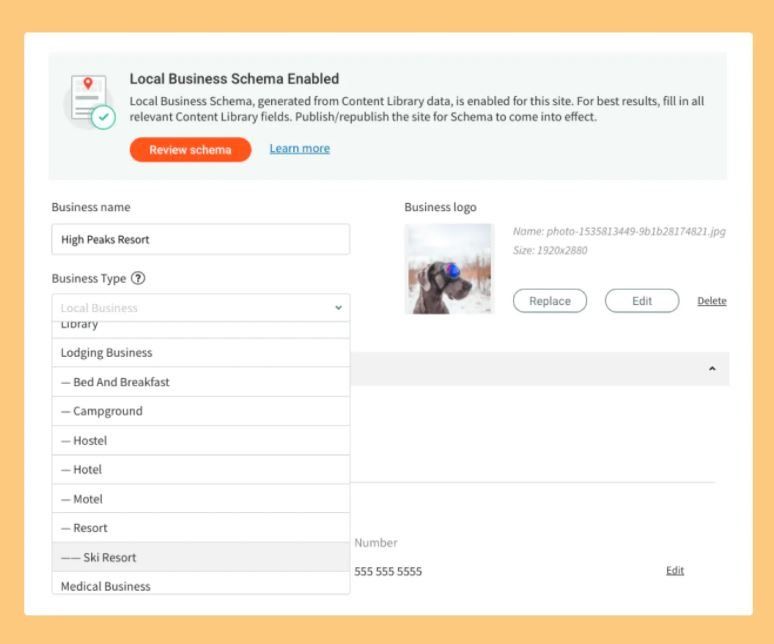 local business schema