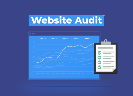 AuditorÃa sitio web