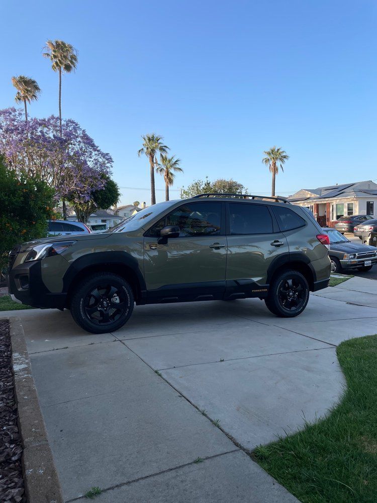 Green Subaru Forester parked in a driveway, palm trees and purple flowers in the background.