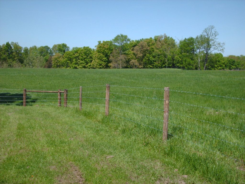 Trees And Grass Surround A Fence - Columbus, IN - Indiana Agricultural Fencing