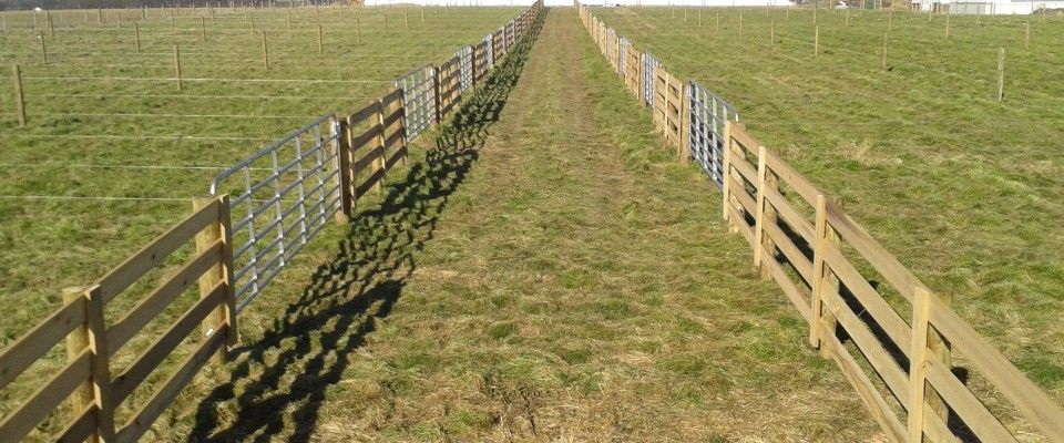 Wooden Fence Stands In The Center Of A Vast Field - Columbus, IN - Indiana Agricultural Fencing