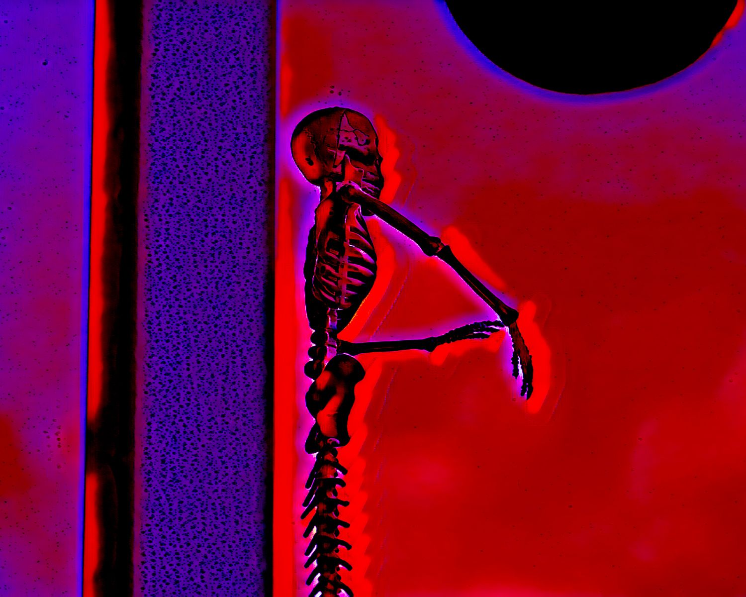 A skeleton is standing in front of a red wall.