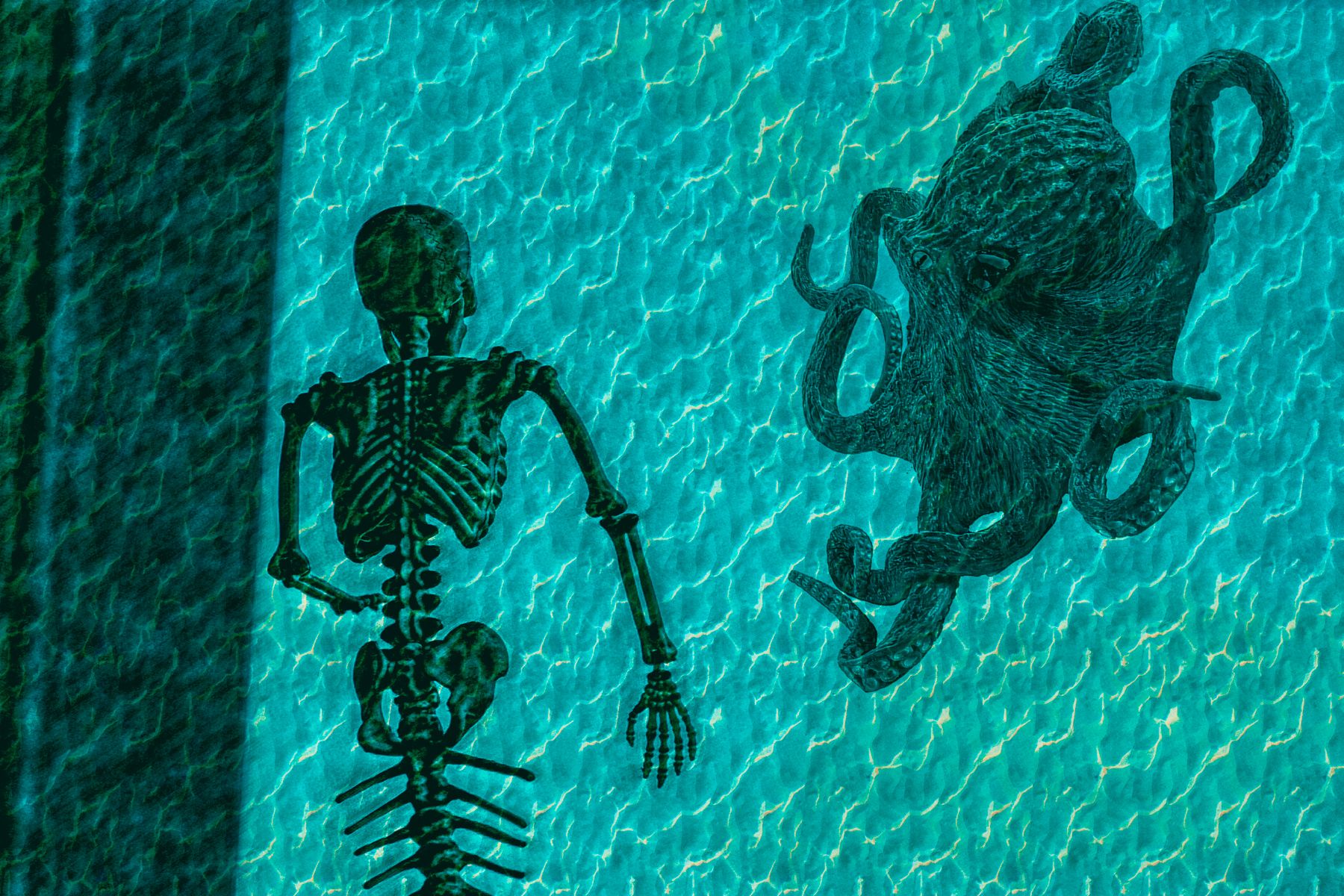 A skeleton is standing next to an octopus in a pool