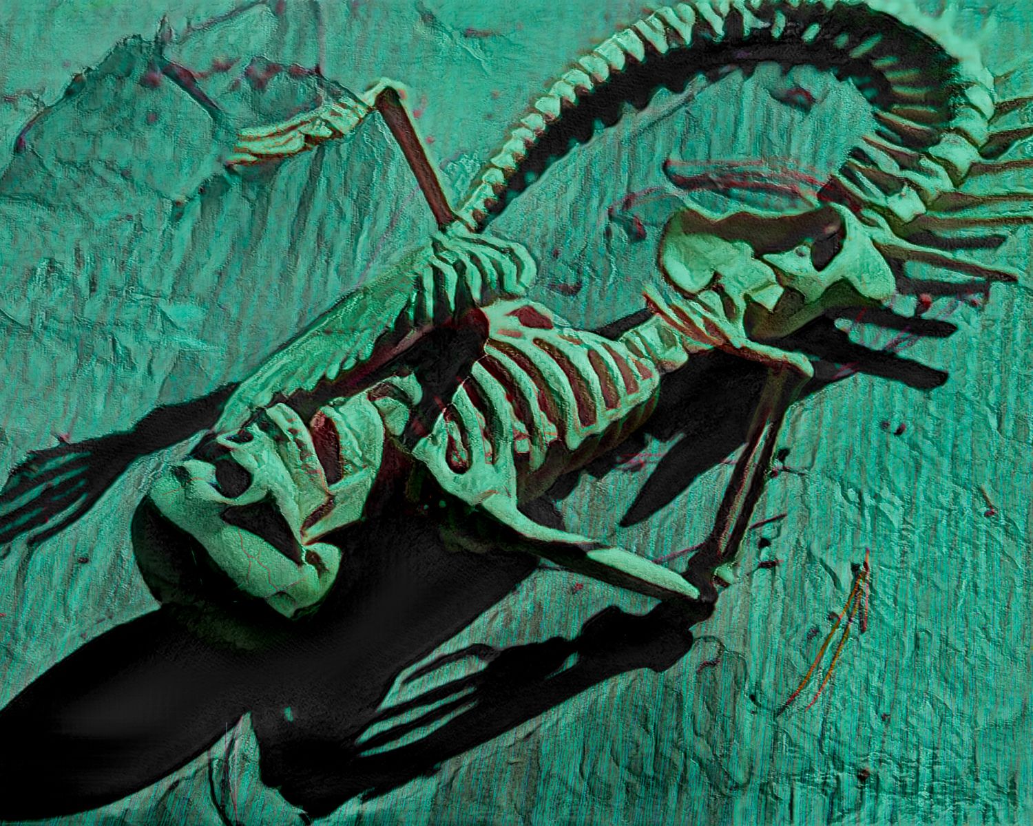 A skeleton of a lizard is laying on the ground