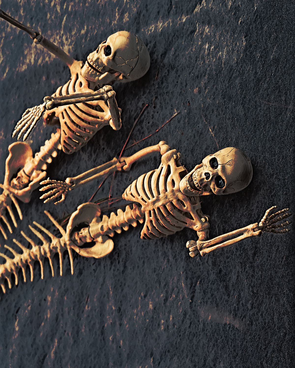Two skeletons are laying on a dark surface