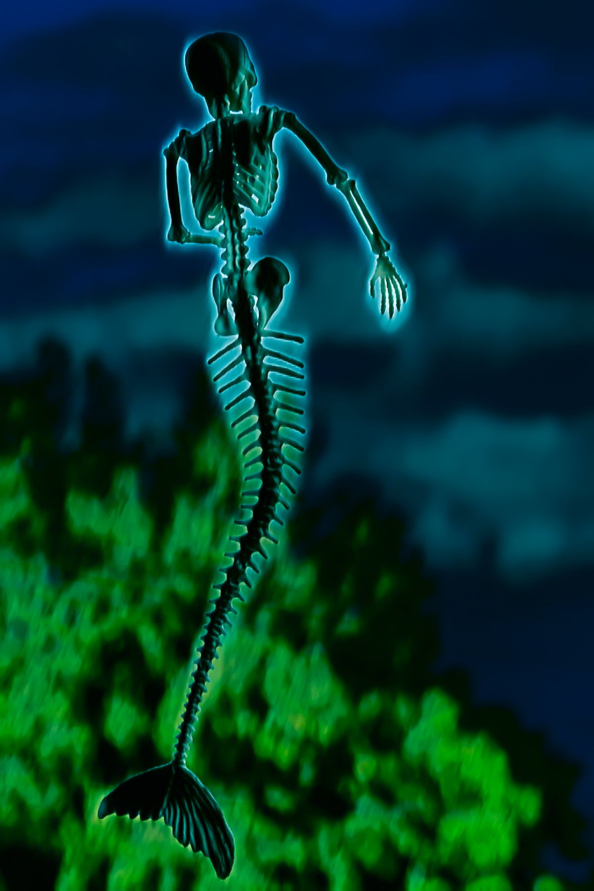 A skeleton of a mermaid is glowing in the dark