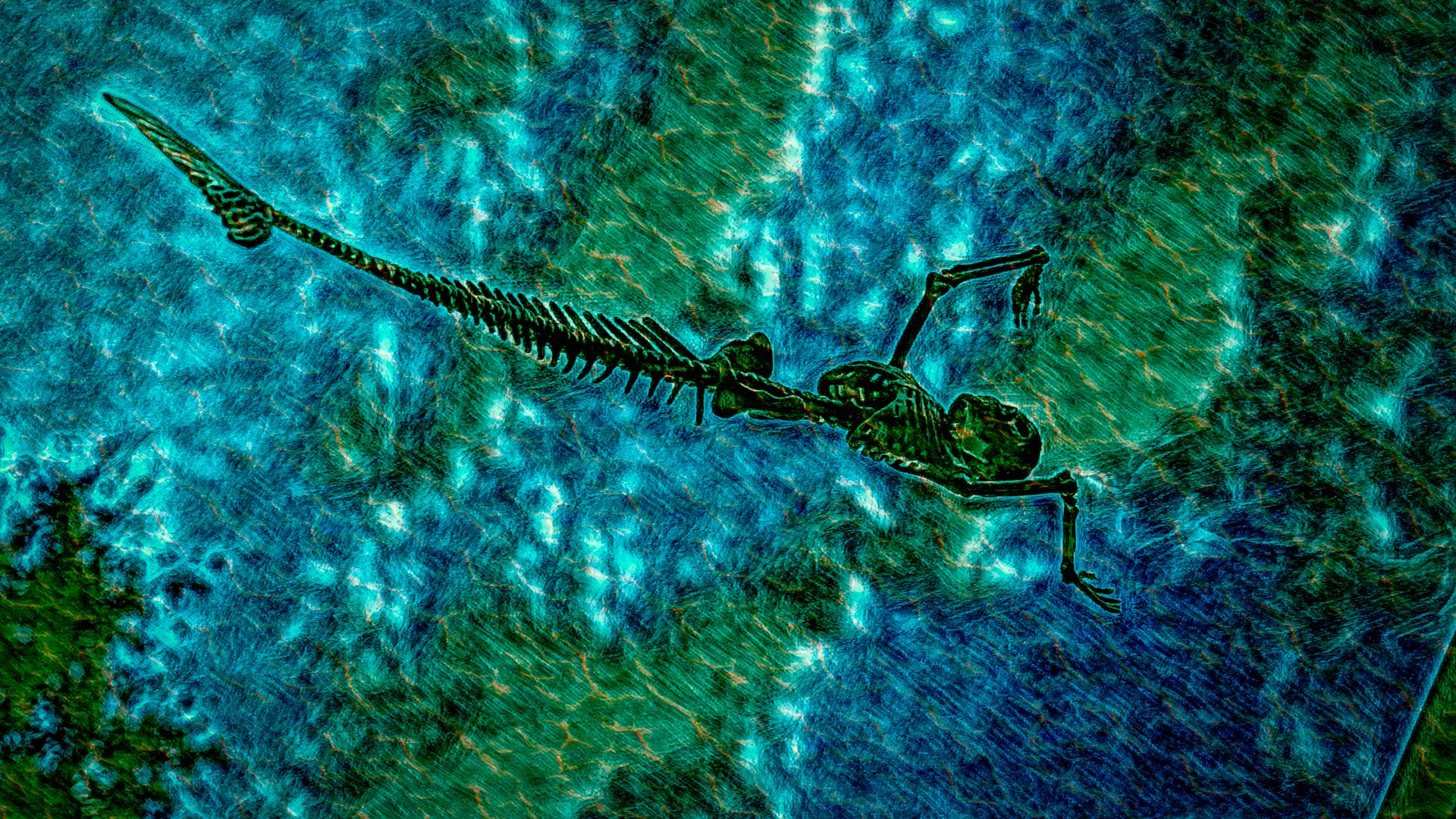 A dragonfly is swimming in the water on a blue background.