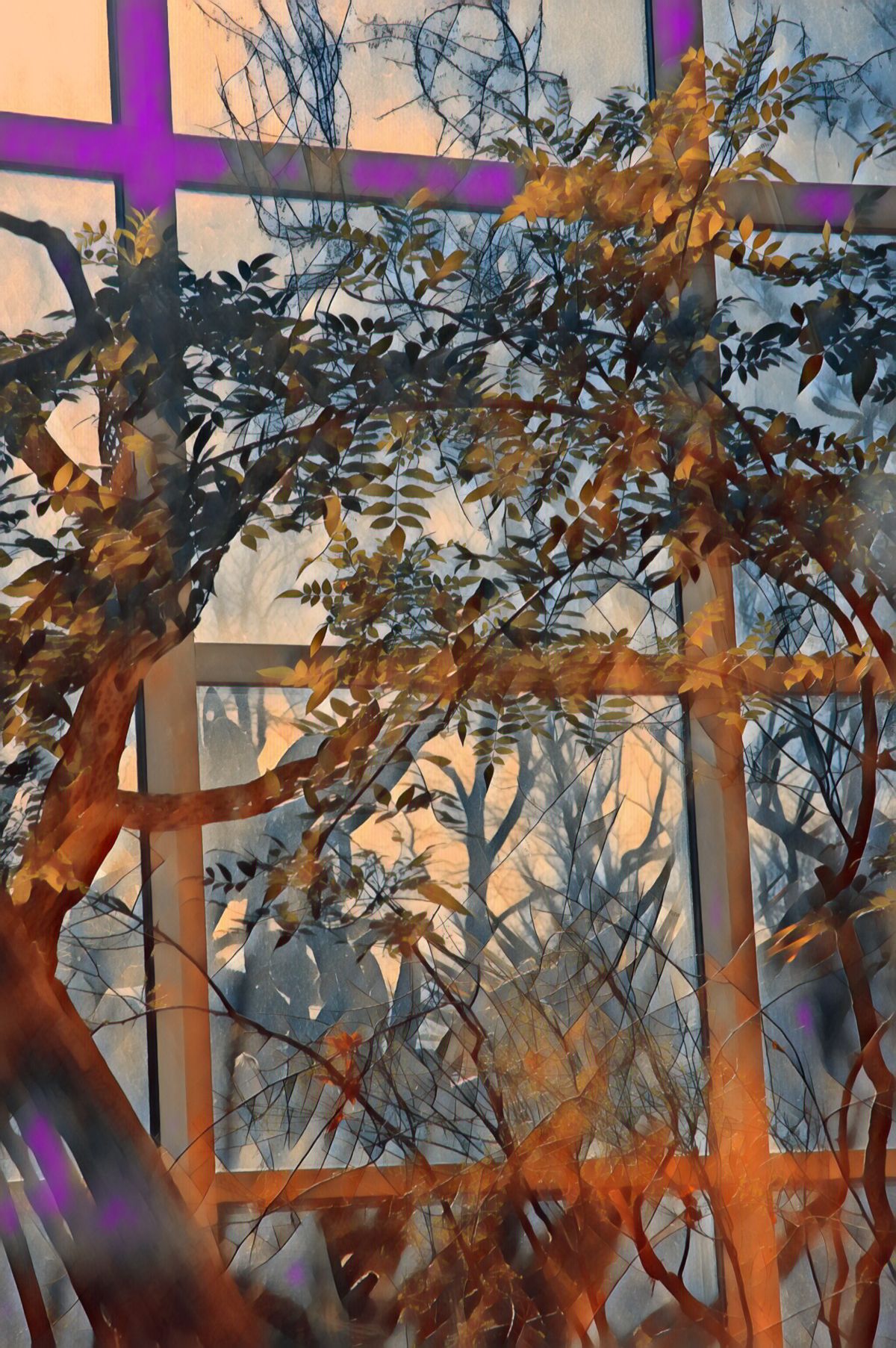 A painting of trees in front of a window with a purple border.