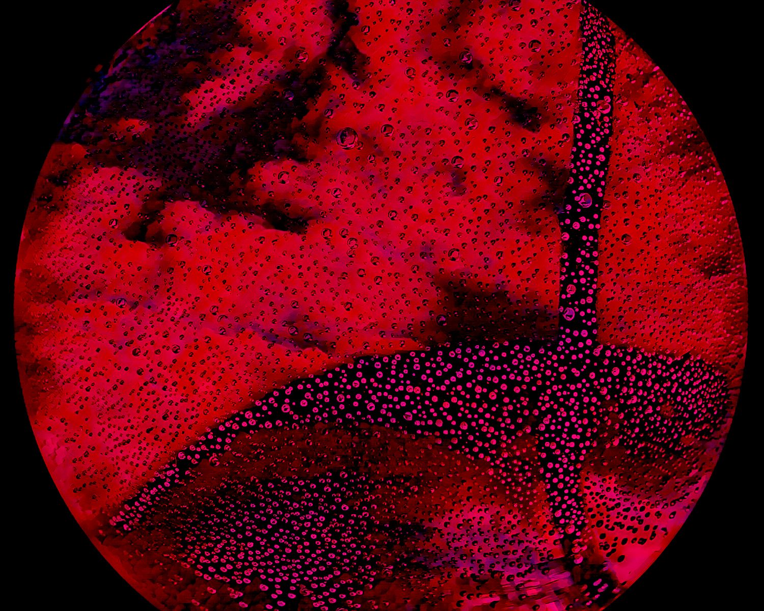 A close up of a red circle with purple dots on it on a black background.