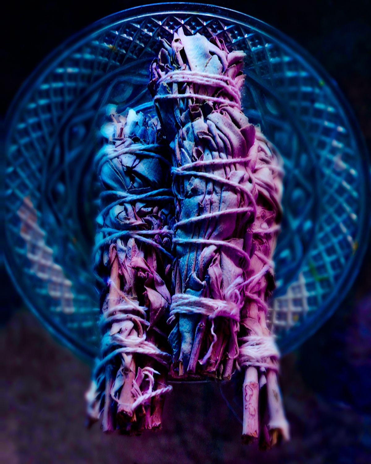 A close up of a bundle of white sage on a glass plate.