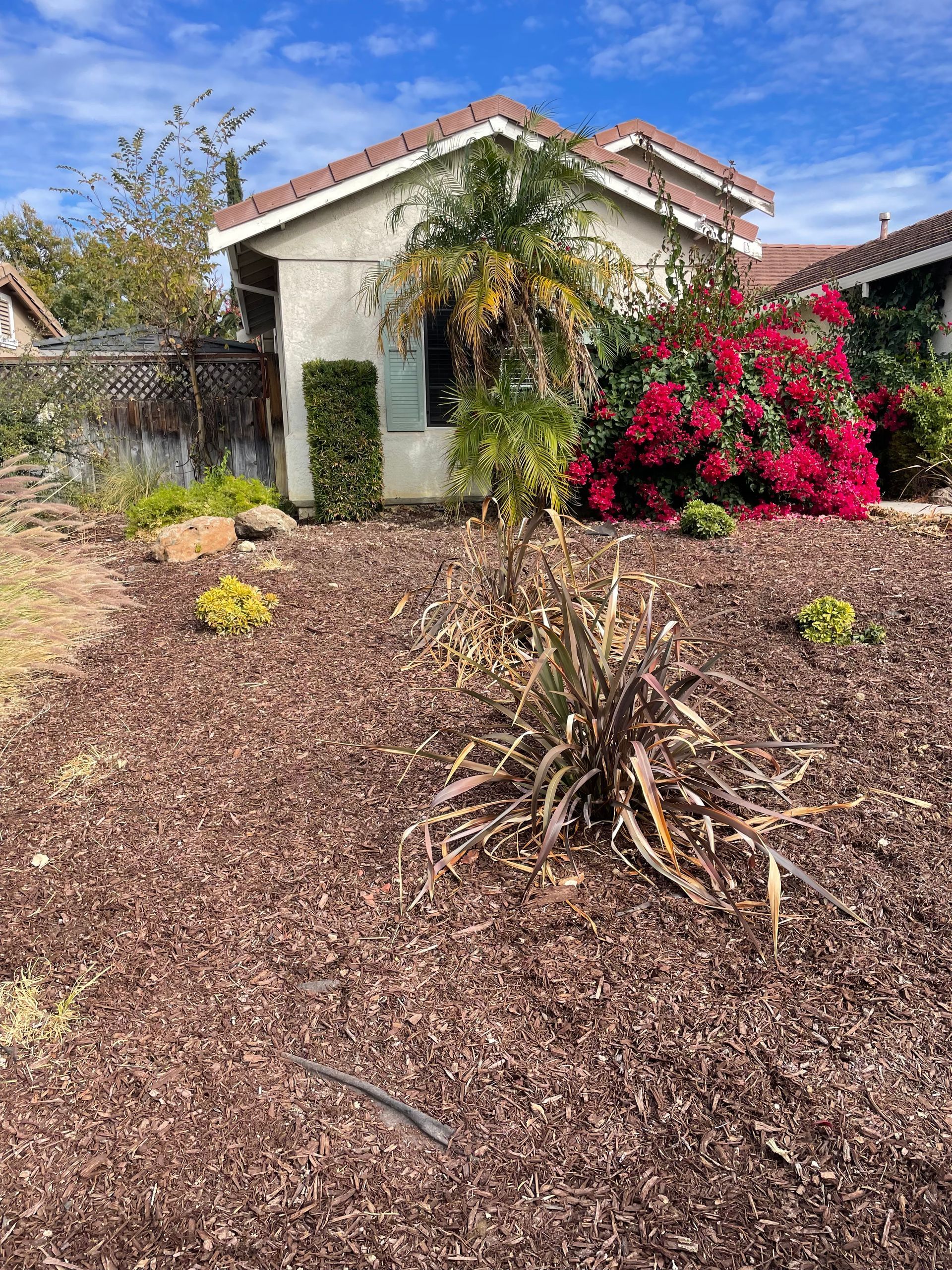 Trenchless Sewer Line Replacement - Antioch, CA - T & C Plumbing