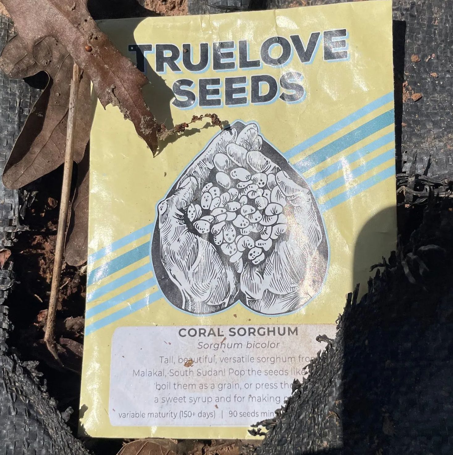 A package of truelove seeds coral sorghum