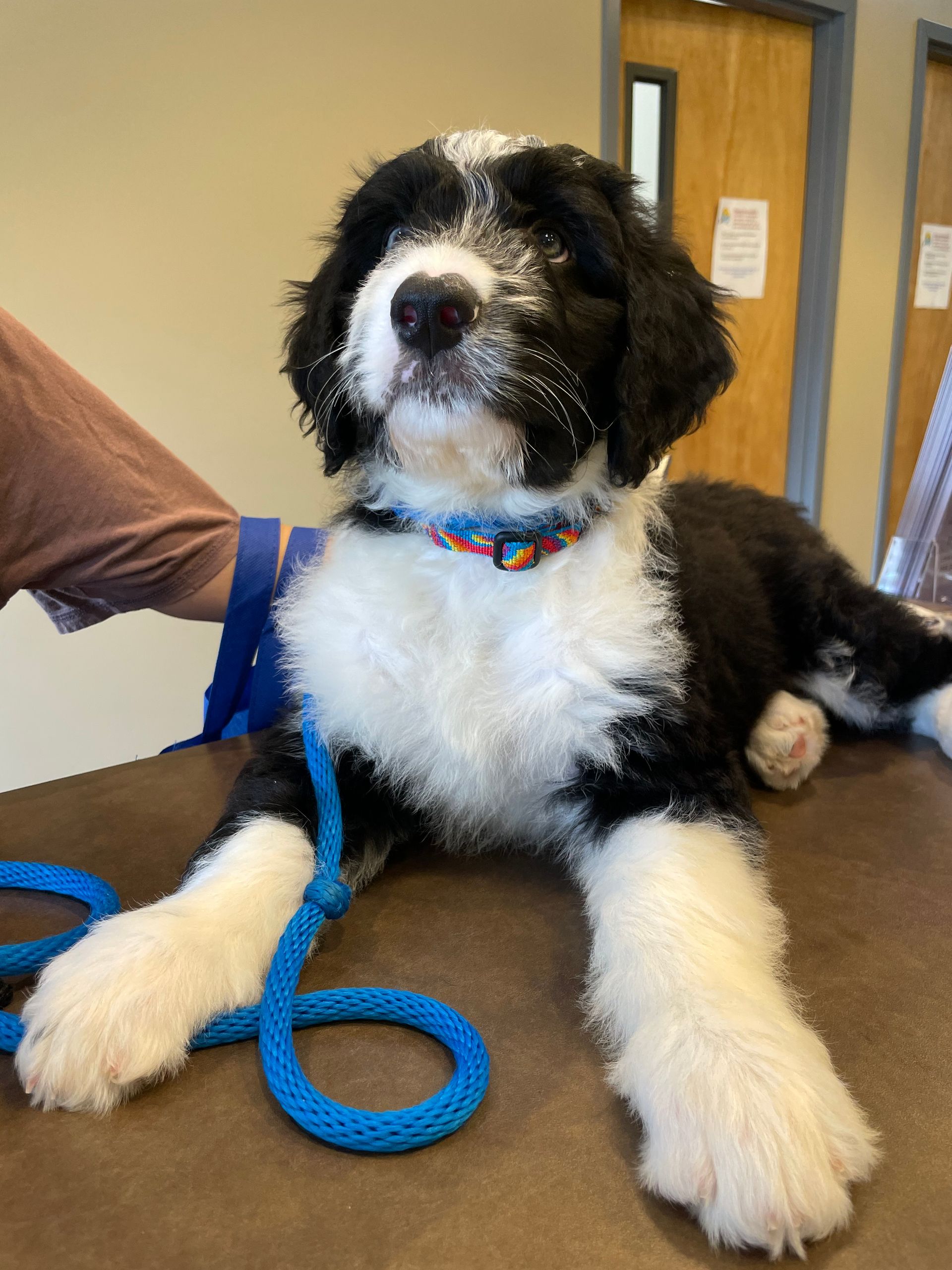 Dental Care, Annual Exams Kapolei, HI