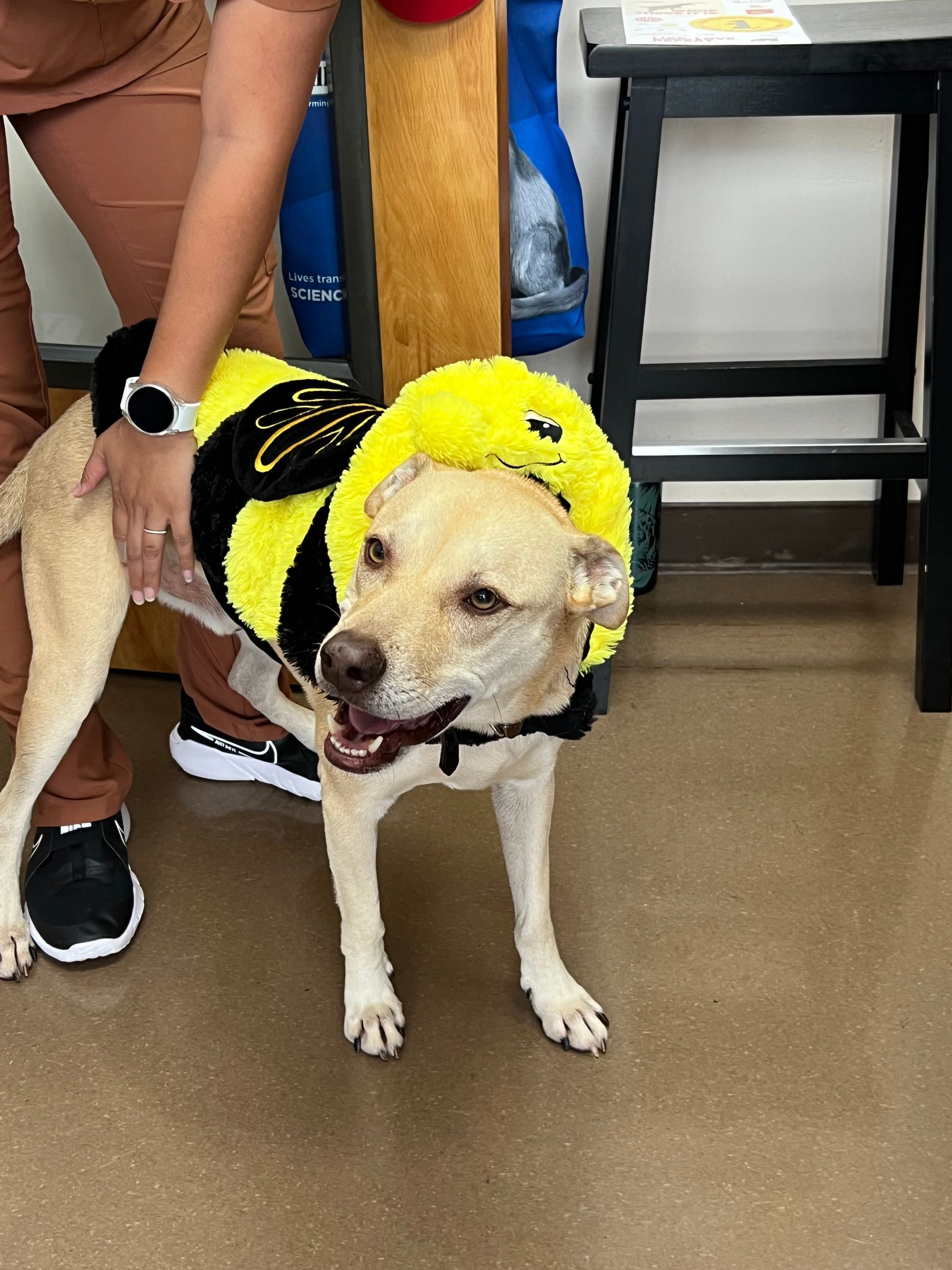 Dental Care, Annual Exams Kapolei, HI