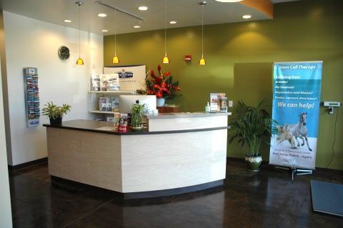 Reception Area — Kapolei, HI — Kapolei Pet Hospital