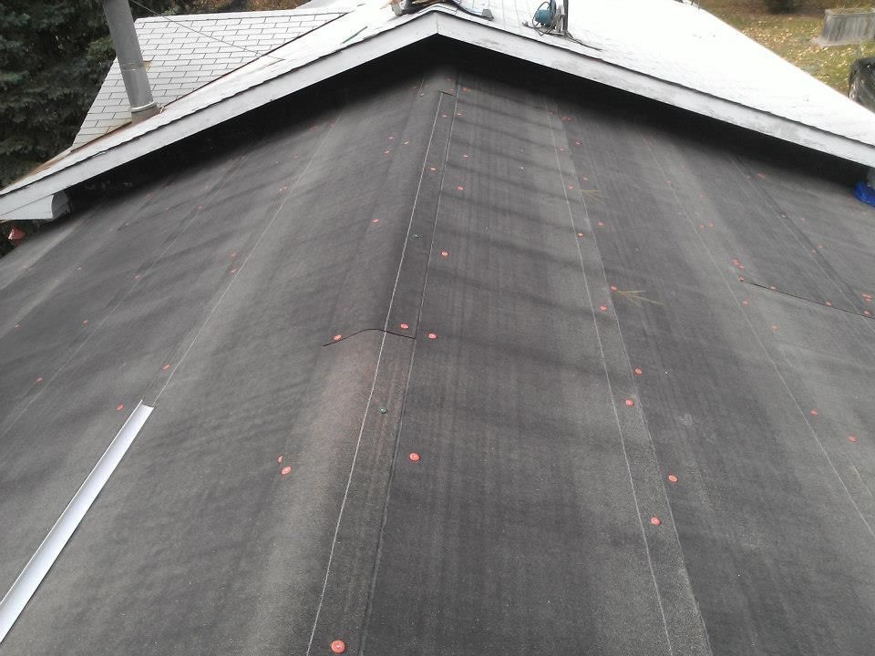 Close-up of a dark shingled roof with a white ridge and vents