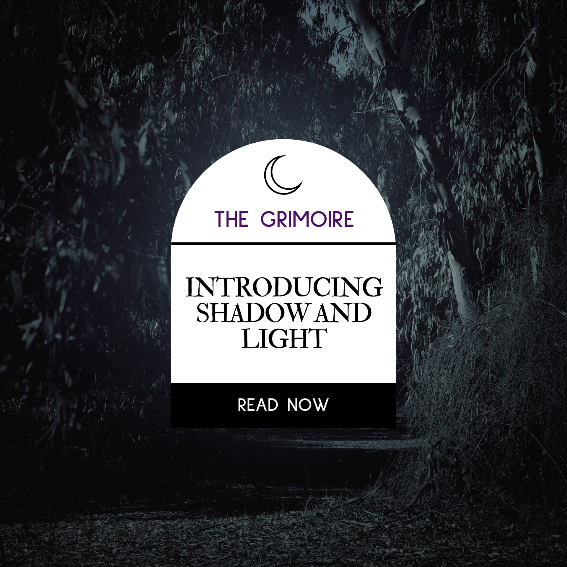 A sign that says the grimoire introducing shadow and light